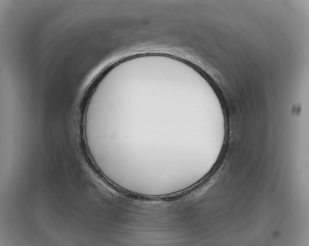 X0000097901502200803140954
