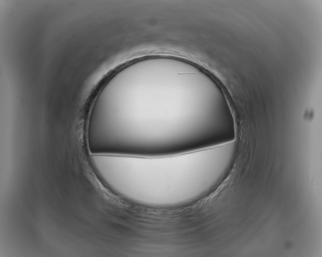 X0000097901503200803140954