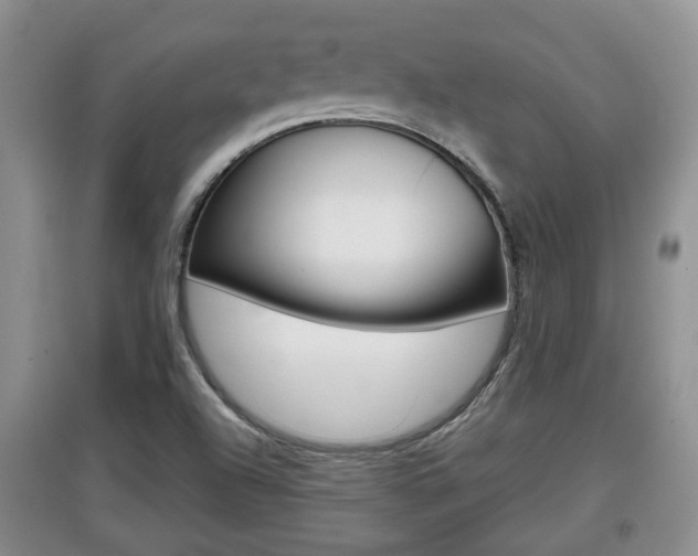 X0000097901504200803140954