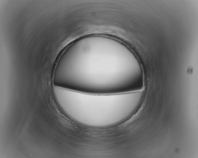 X0000097901505200803140955