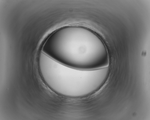 X0000097901506200803140955