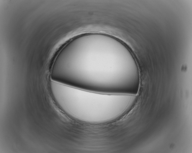 X0000097901507200803140955