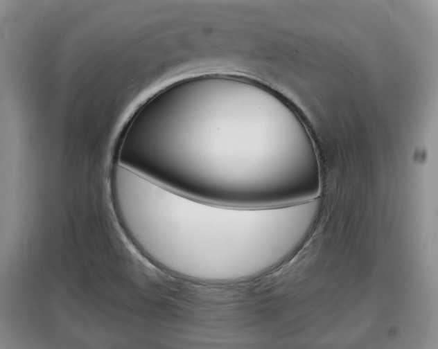 X0000097901508200803140955