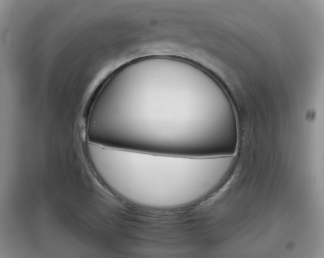X0000097901509200803140955