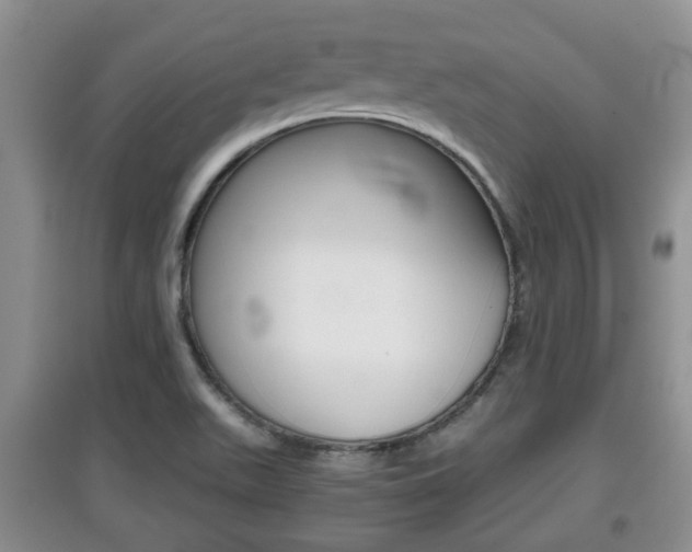 X0000097901511200803140955