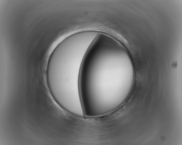 X0000097901512200803140955