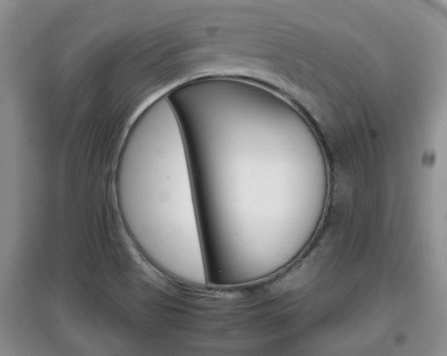 X0000097901513200803140955