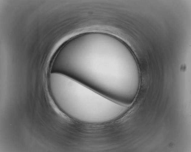 X0000097901515200803140955
