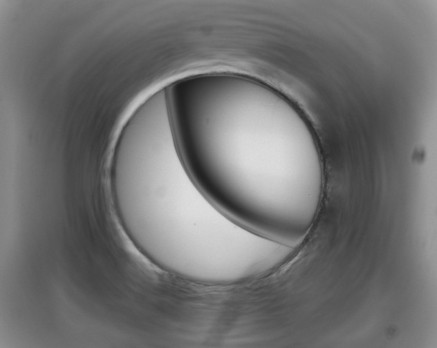 X0000097901516200803140955