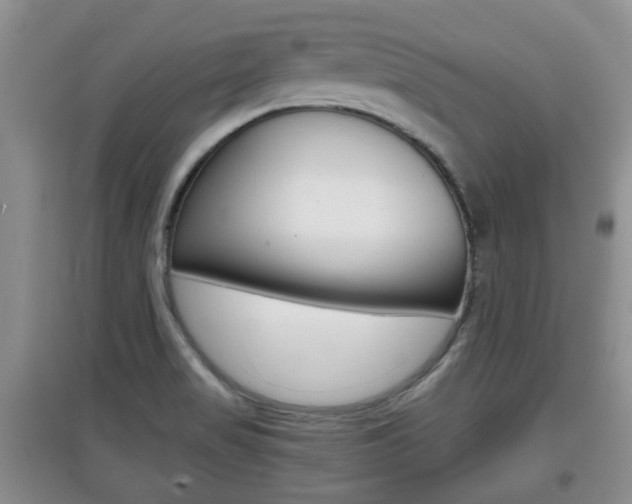 X0000097901517200803140955