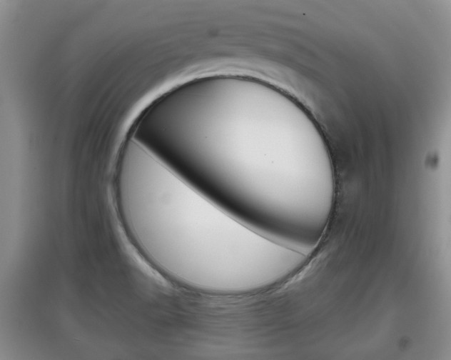 X0000097901518200803140955