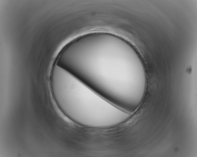 X0000097901519200803140955
