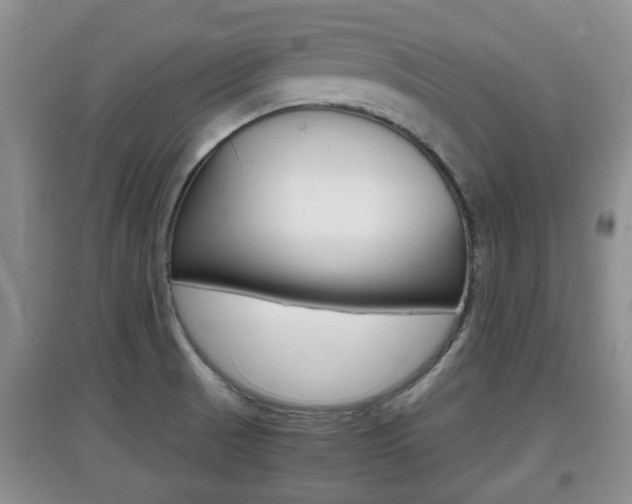 X0000097901521200803140955