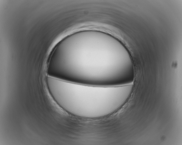X0000097901522200803140955