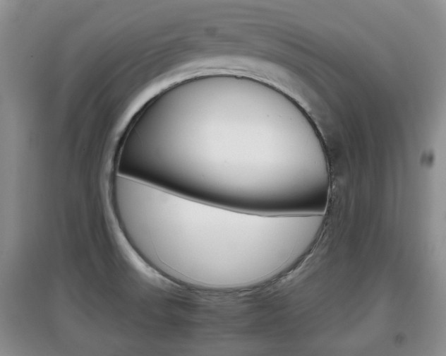 X0000097901523200803140955