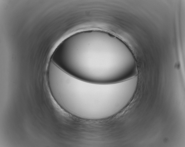 X0000097901524200803140955