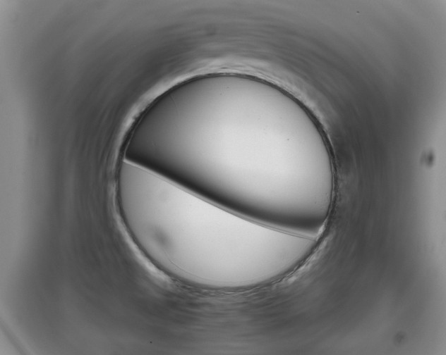 X0000097901525200803140955
