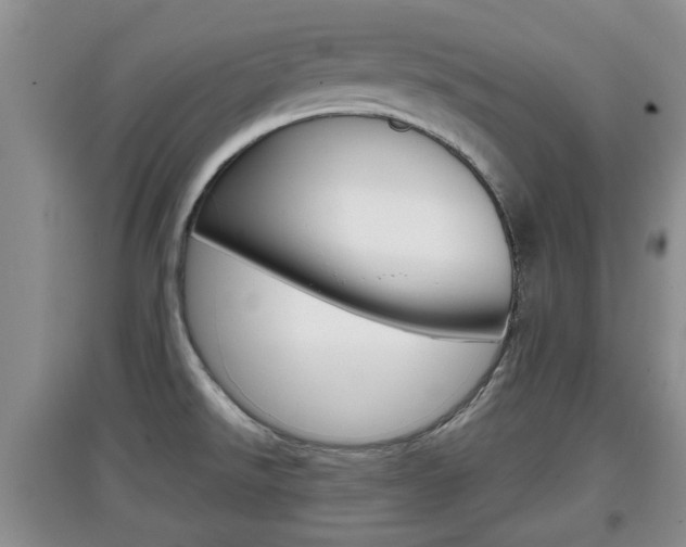 X0000097901526200803140955