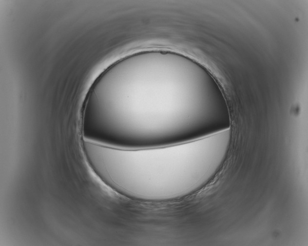 X0000097901527200803140955
