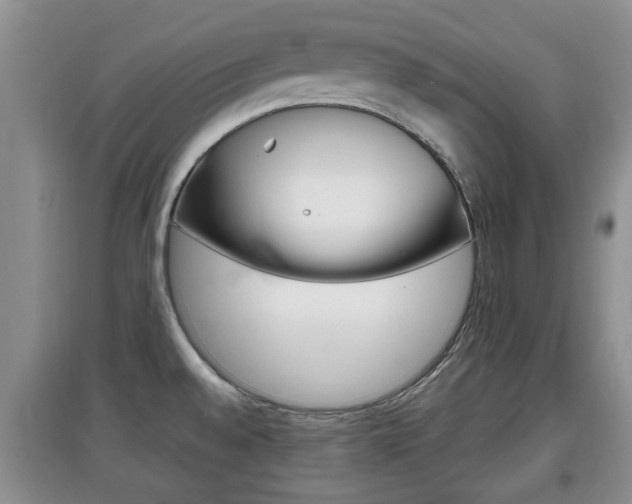 X0000097901528200803140955