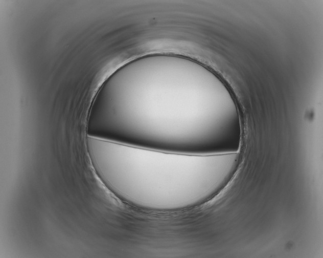 X0000097901529200803140955