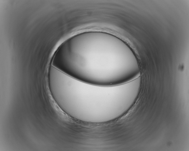 X0000097901530200803140955