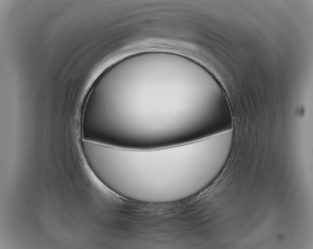 X0000097901531200803140955