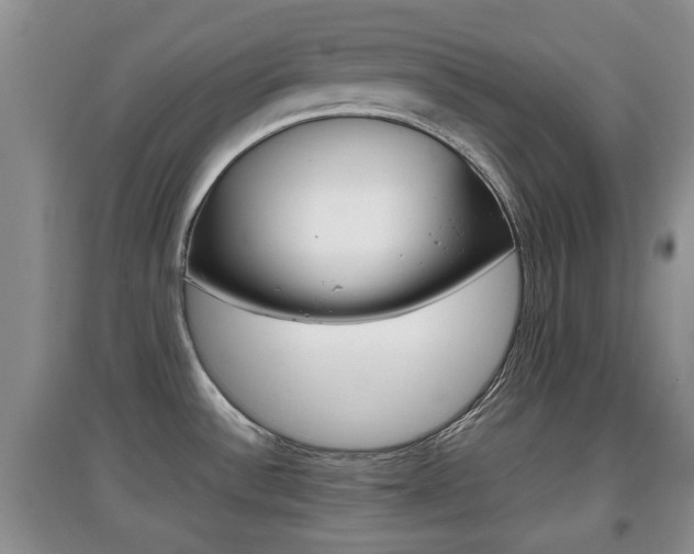 X0000097901532200803140955