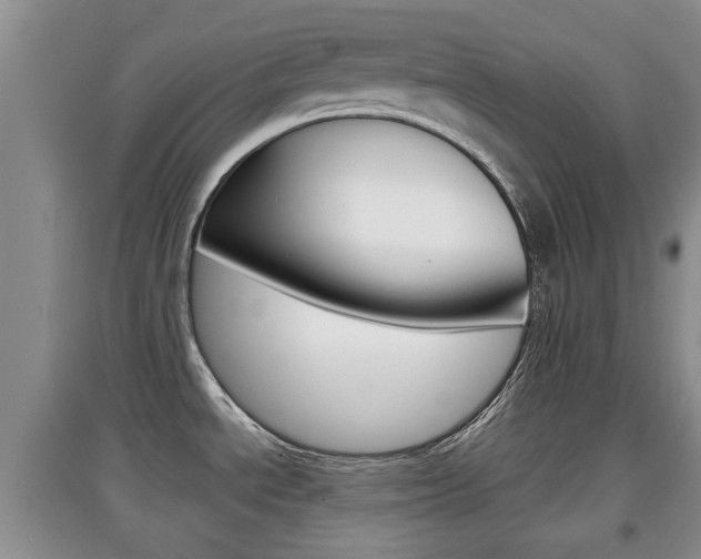 X0000097901534200803140955