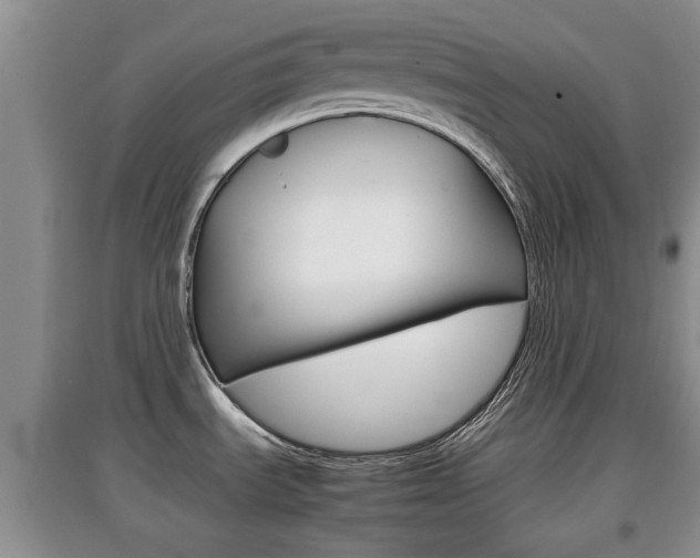 X0000097901535200803140955