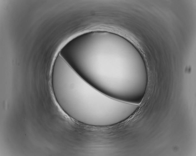 X0000097901536200803140955