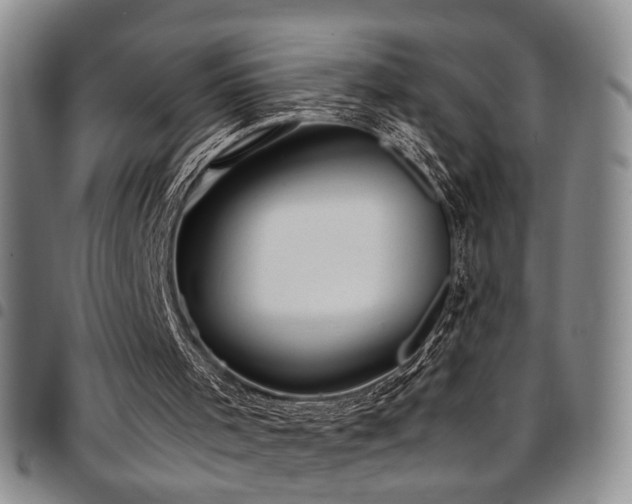 X0000097900001200803141405