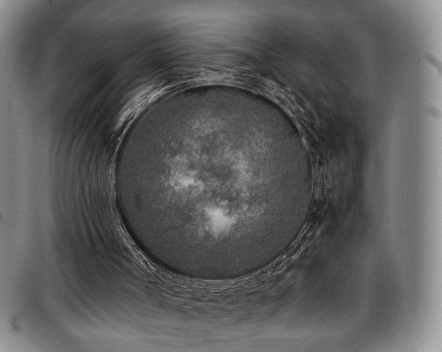 X0000097900002200803141405