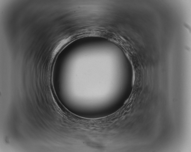 X0000097900003200803141405