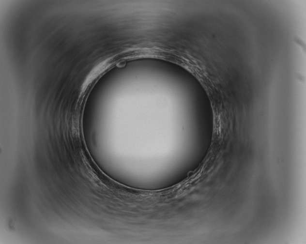 X0000097900004200803141405