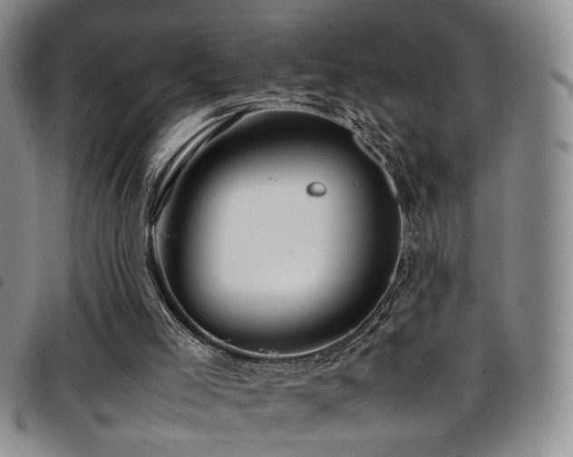 X0000097900005200803141405