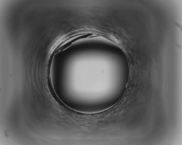 X0000097900007200803141405