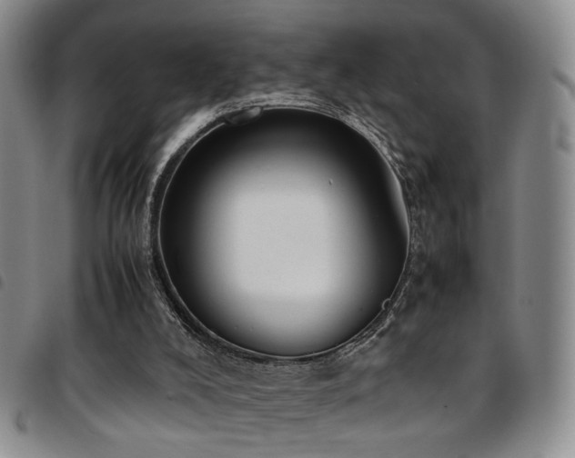 X0000097900008200803141405