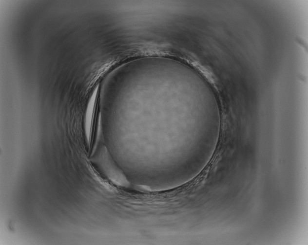 X0000097900009200803141405