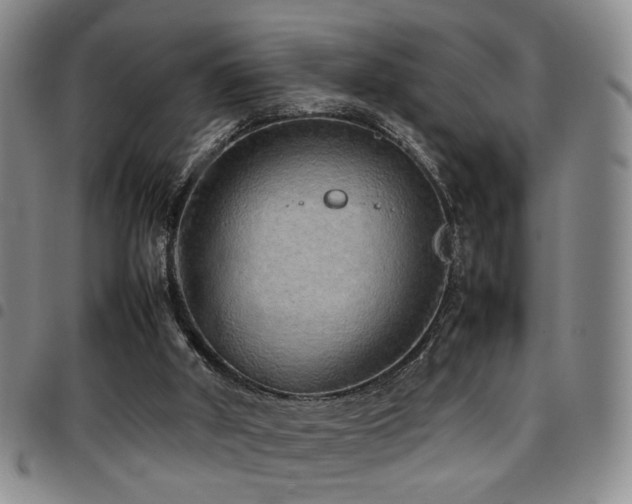 X0000097900010200803141405