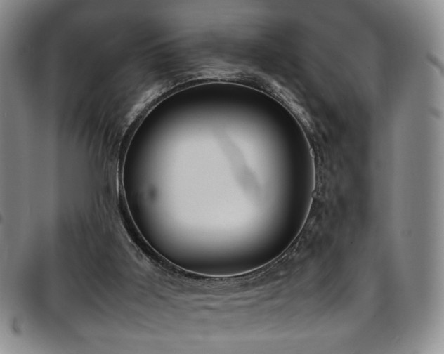 X0000097900011200803141405