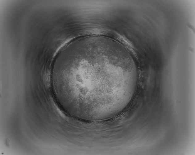 X0000097900012200803141405