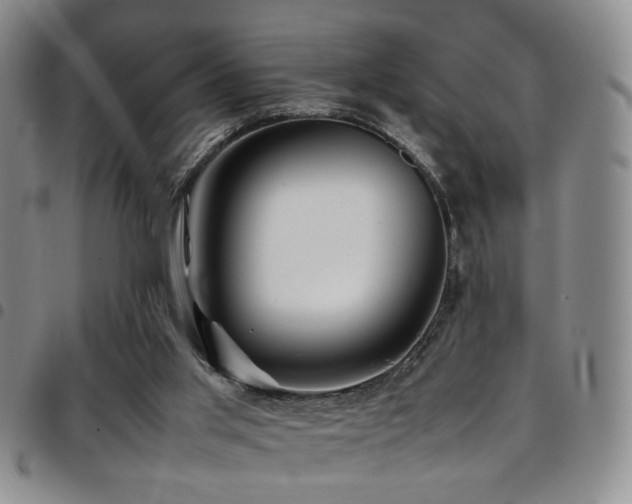 X0000097900013200803141405