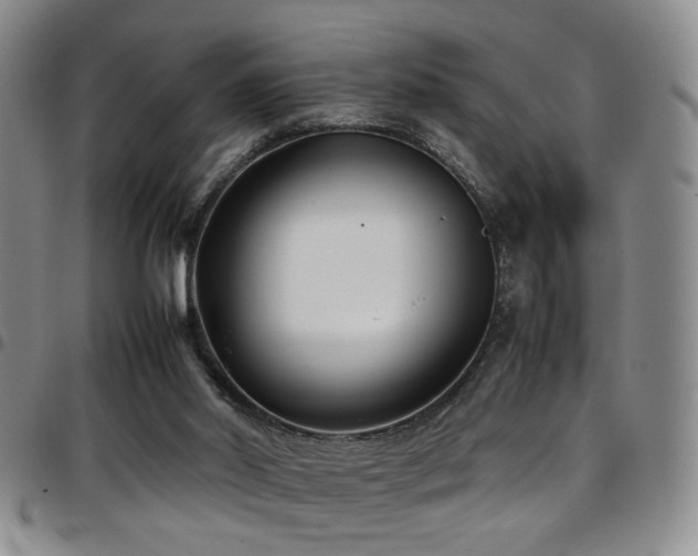 X0000097900014200803141405