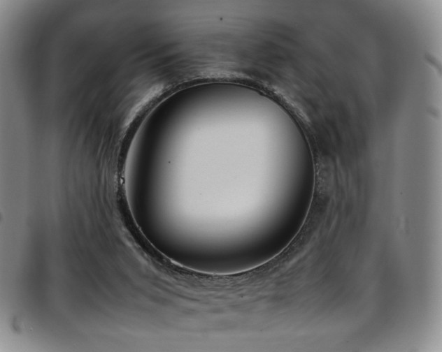 X0000097900015200803141405