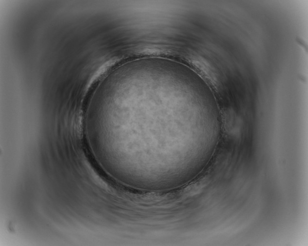 X0000097900016200803141405