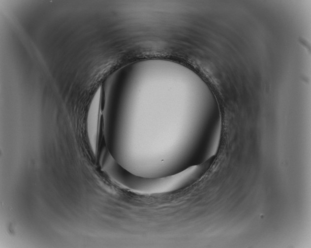 X0000097900017200803141404