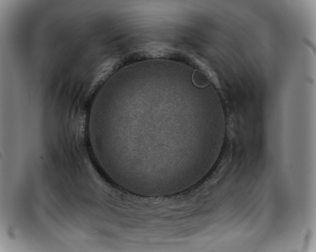 X0000097900018200803141404