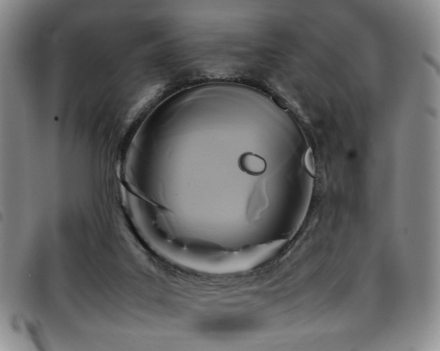 X0000097900019200803141404