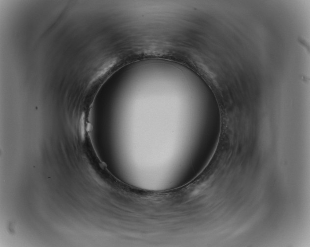 X0000097900020200803141404